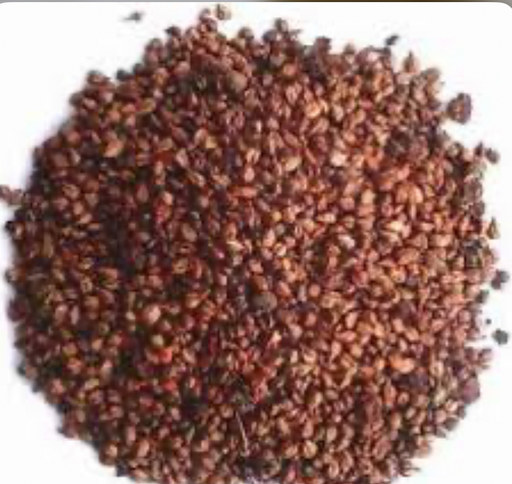 بذور العنب