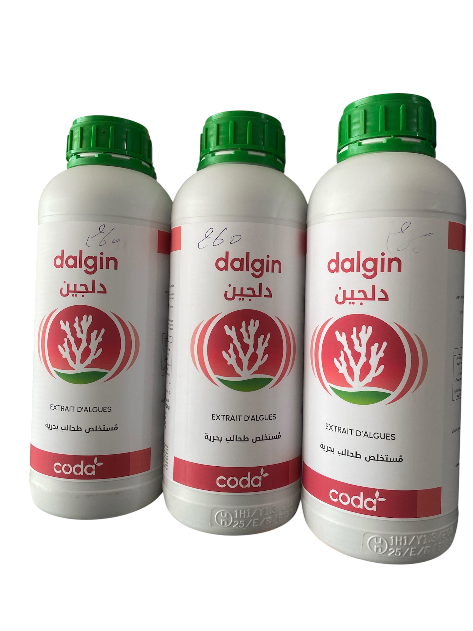 Dalgin / دلجين