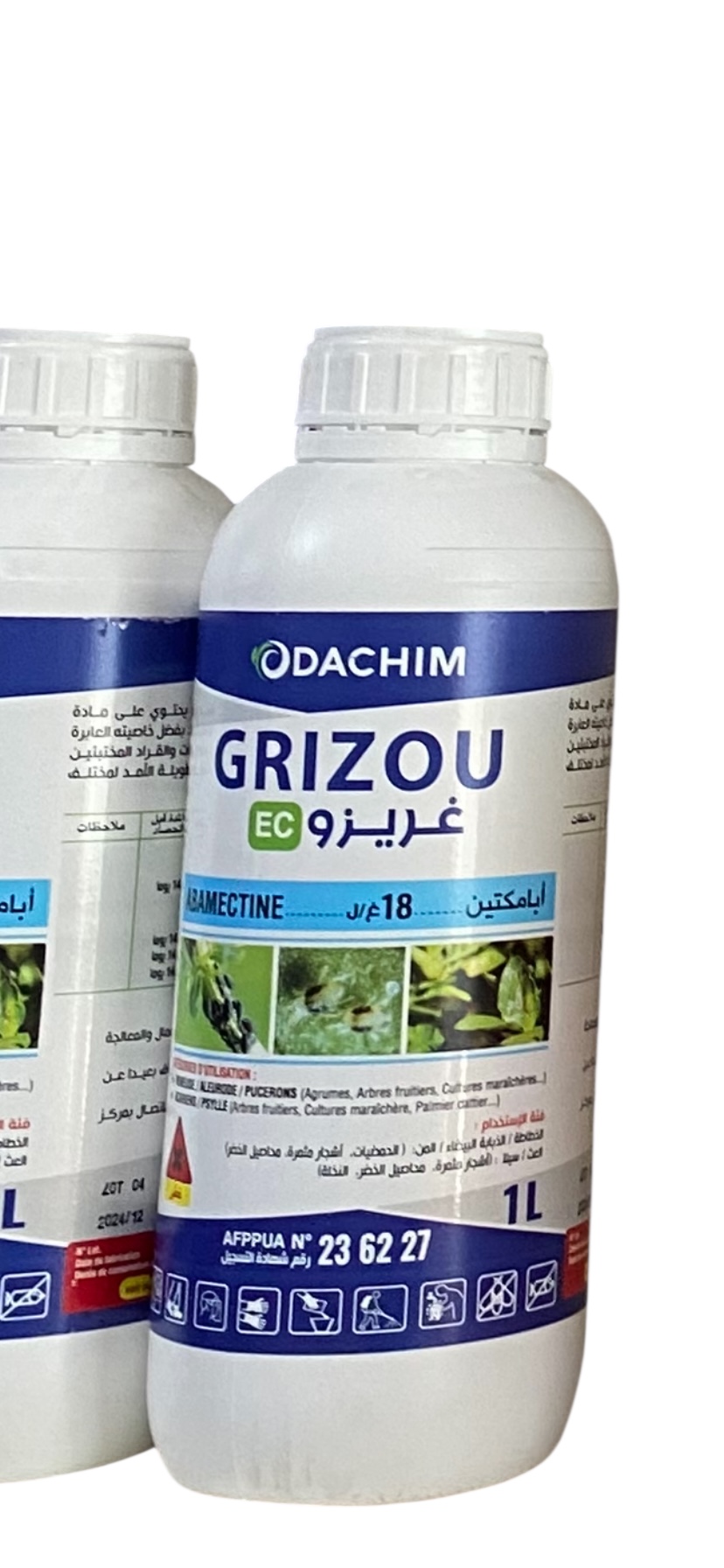 Grizou